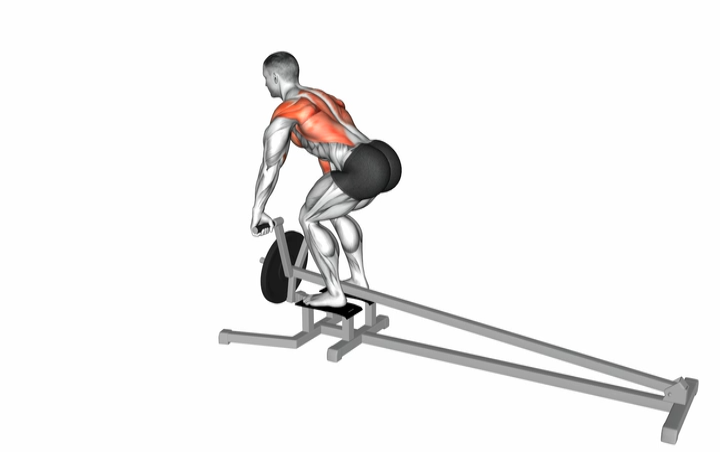 Barbell T Bar Row