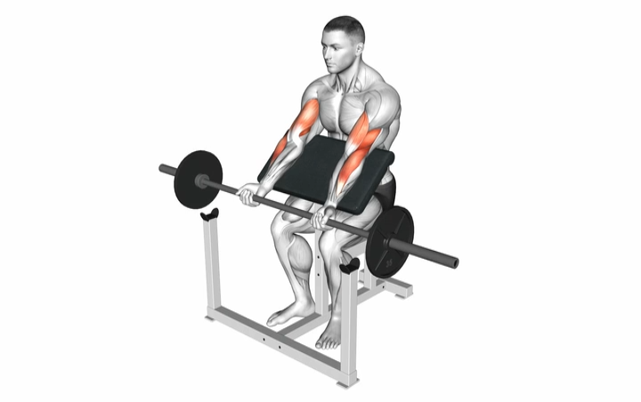 Preacher Curl