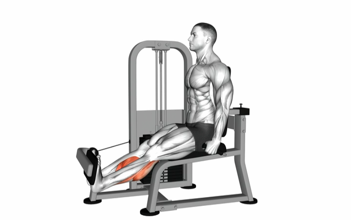 Calf Extension