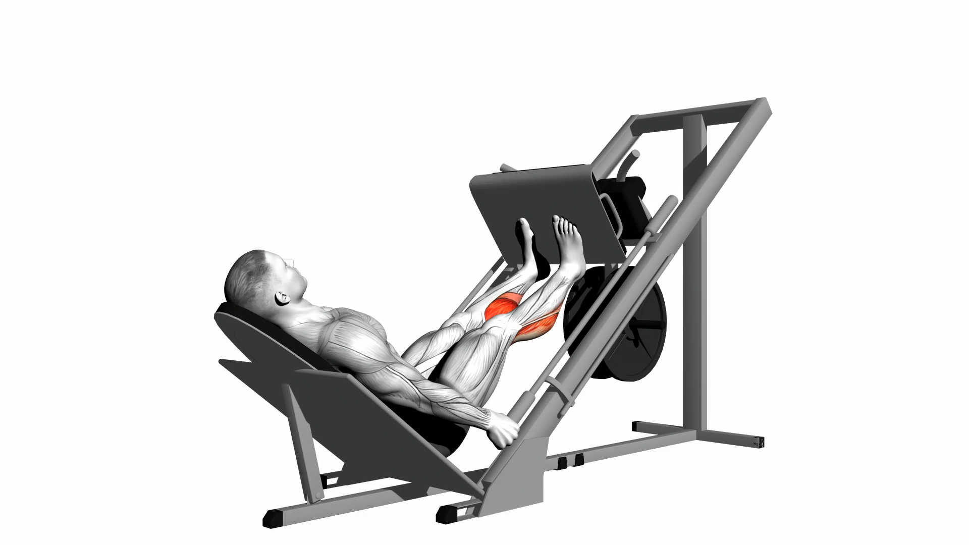 Calf Press