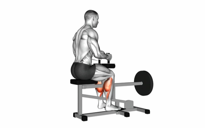 Seated Calf Raise