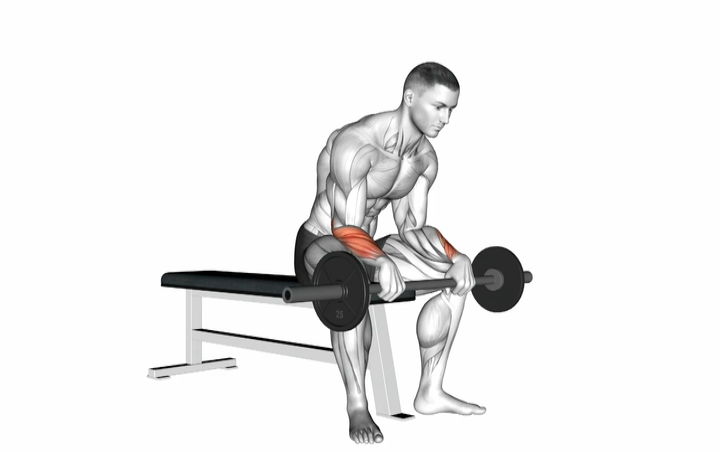Reverse Wrist Curl