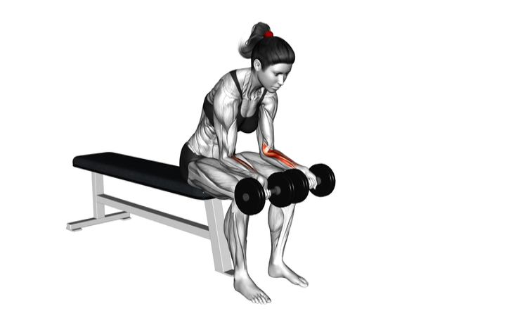 Seated Wrist Curl