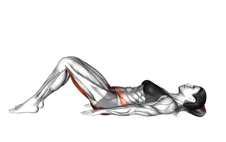 Bodyweight Glute Bridge