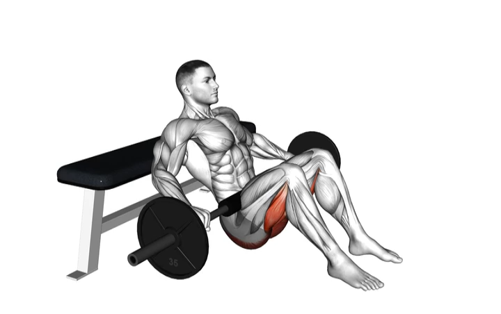 Barbell Hip Thrust