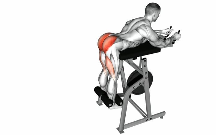 Reverse Hyper Extension