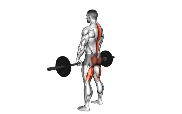 Barbell Romanian Deadlift