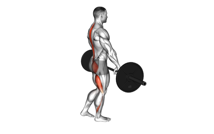 Barbell Single Leg Romanian Deadlift