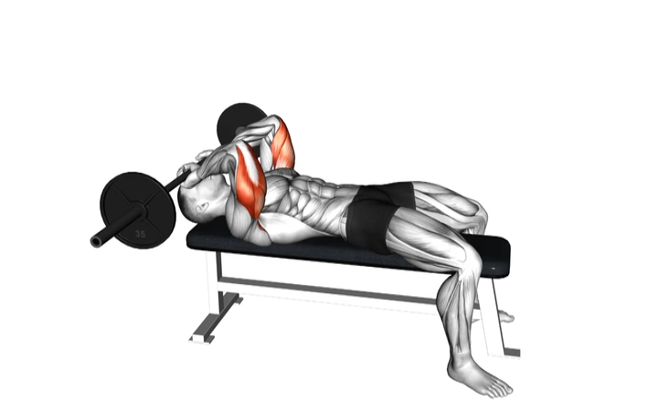 Barbell Skull Crusher