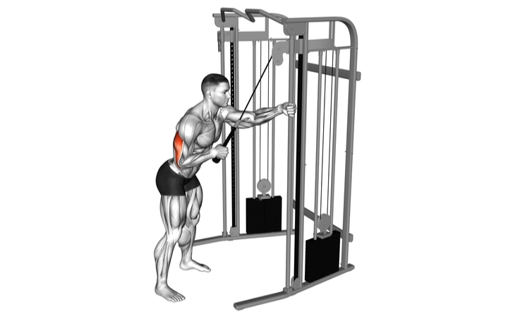 Cable Single Arm Tricep Pushdown