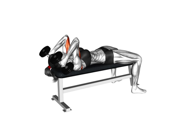 Dumbbell Skull Crusher