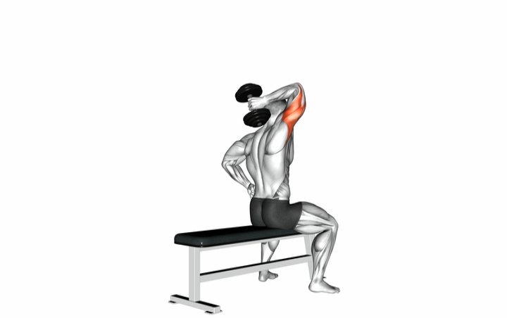 Overhead Dumbbell Triceps Extension