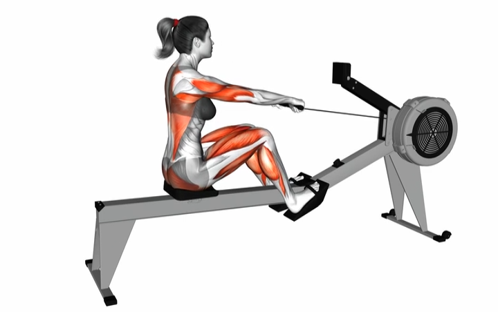 Rowing Machine