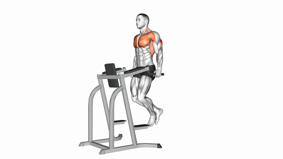 Dips Triceps Version
