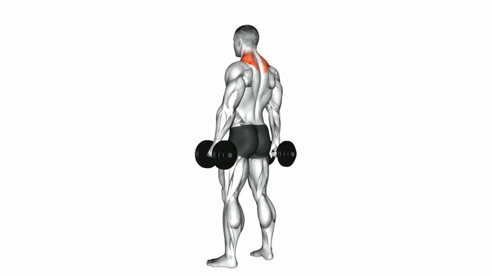 Dumbbell Shrug