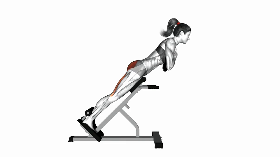 Hyperextensions Back Extensions