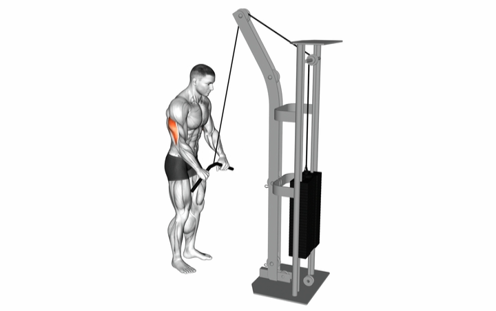 Tricep Pushdown Bar