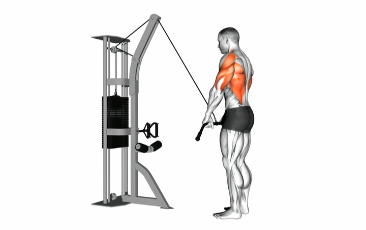 Straight Arm Pulldown Bar Attachment