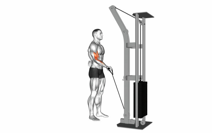 Single Arm Cable Curl
