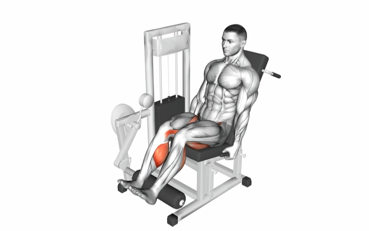Seated Leg Curl