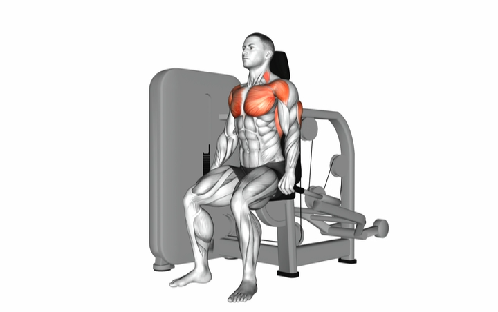 Seated Dip