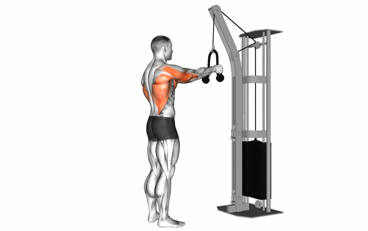 Straight Arm Pulldown Rope Attachment