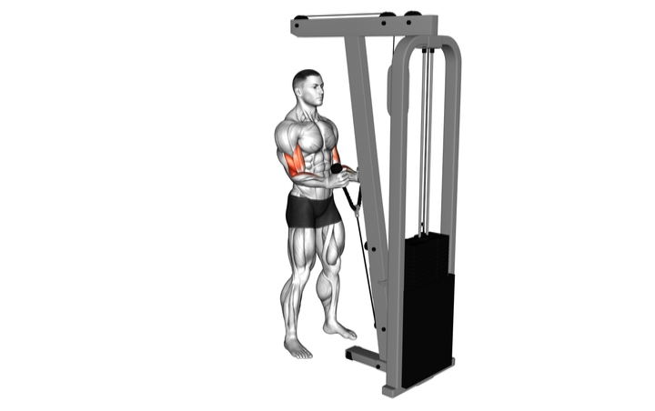 Rope Hammer Curl