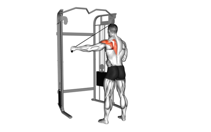 Single Arm Reverse Cable Fly
