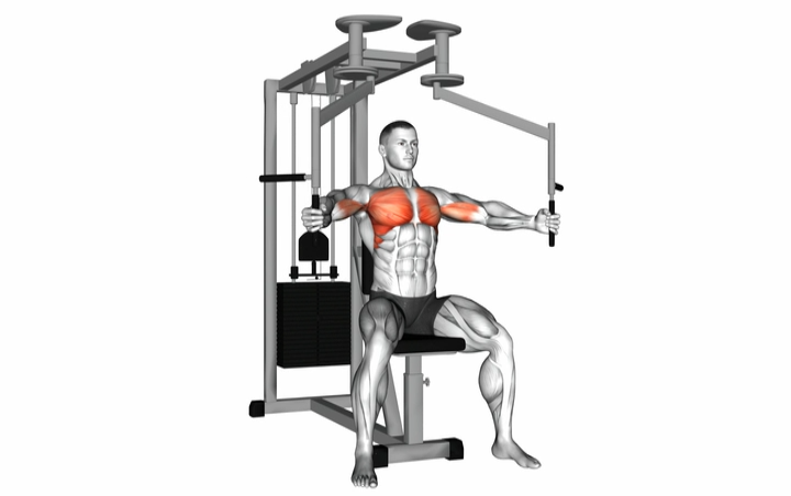 Chest Fly