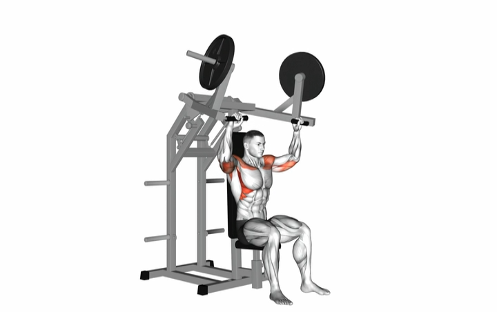 Lever Shoulder Press