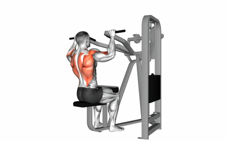 Lever Lat Pulldown