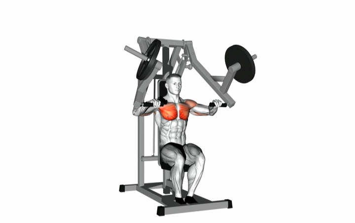 Lever Chest Press