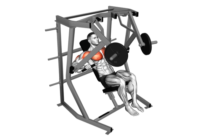 Decline Chest Press