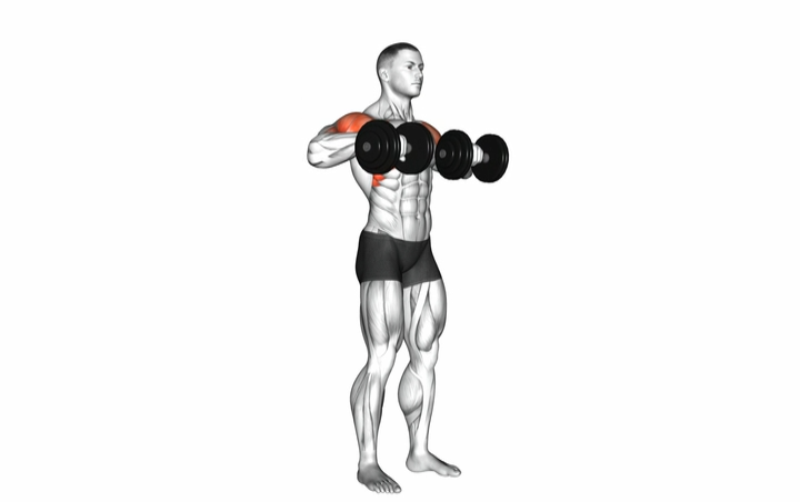 Dumbbell Upright Row
