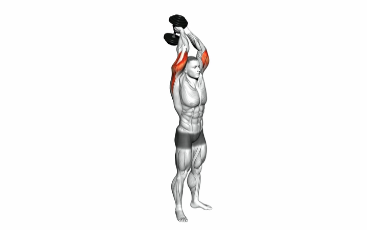 Tricep Extension