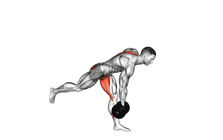 Dumbbell Single Leg Romanian Deadlift