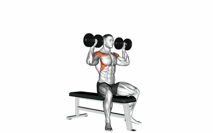 Seated Shoulder Press