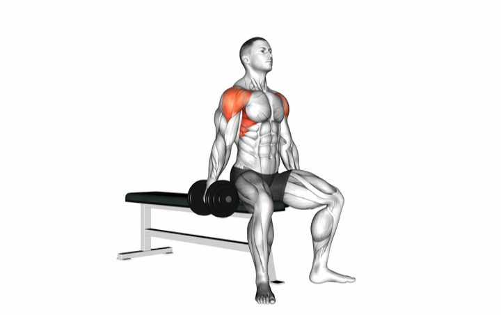 Seated Lateral Raise