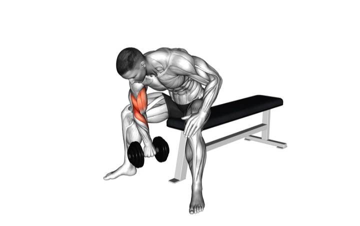 Reverse Concentration Curl