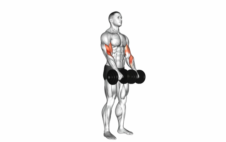 Reverse Curl