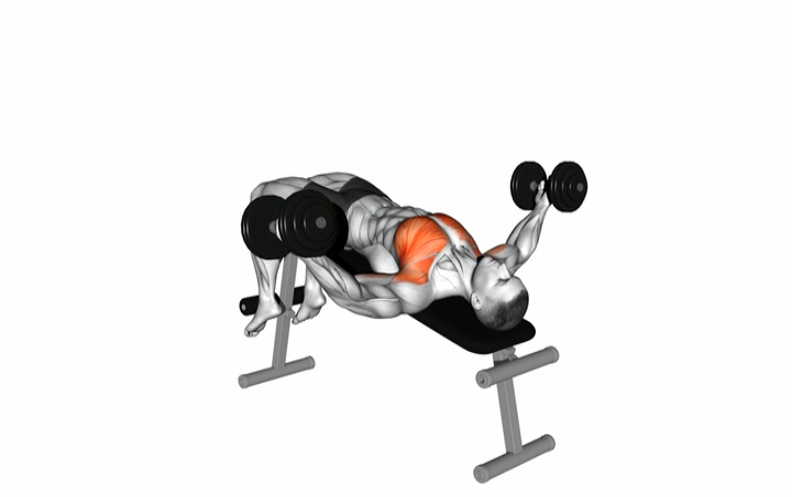 Decline Chest Fly