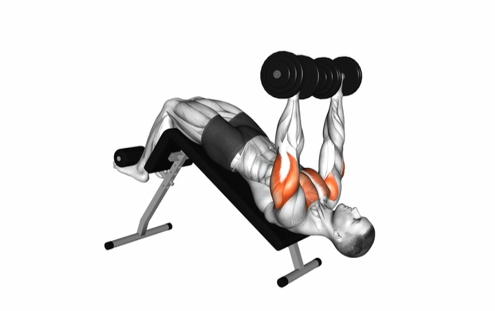 Dumbbell Decline Bench Press