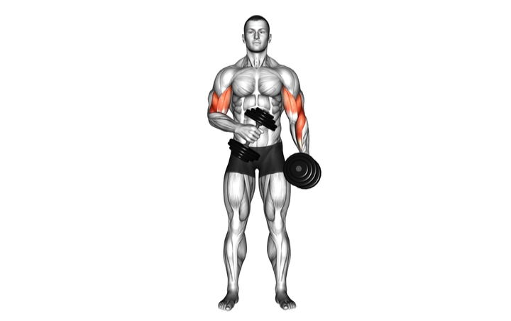 Cross Body Hammer Curl