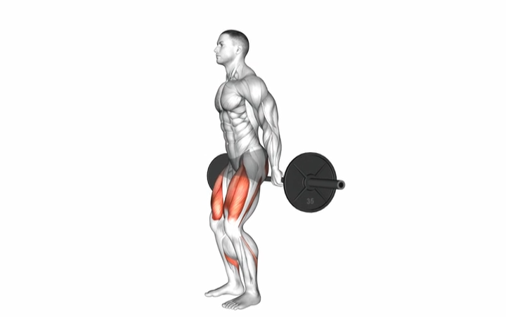 Barbell Hack Squat