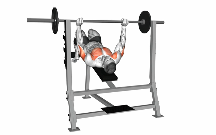 Barbell Decline Bench Press