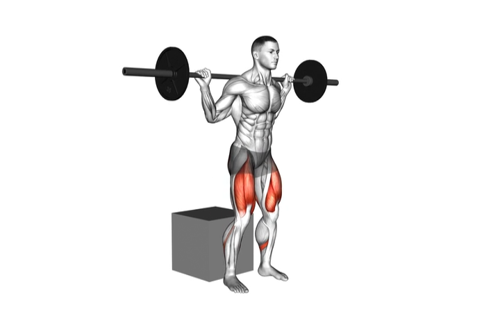 Box Squat
