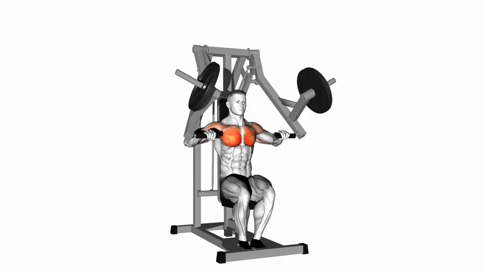 Leverage Chest Press