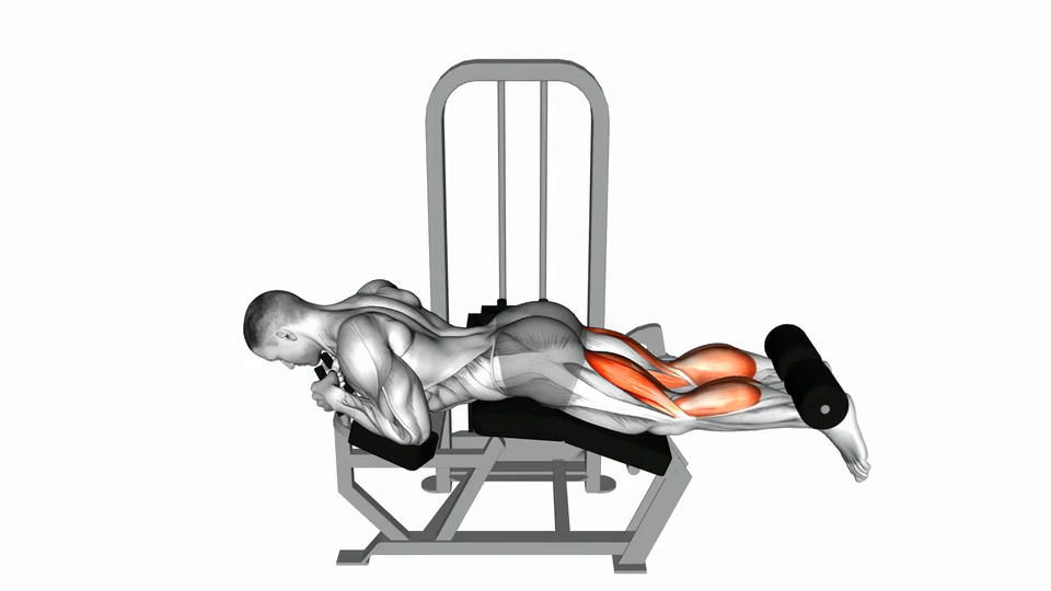 Lying Leg Curls