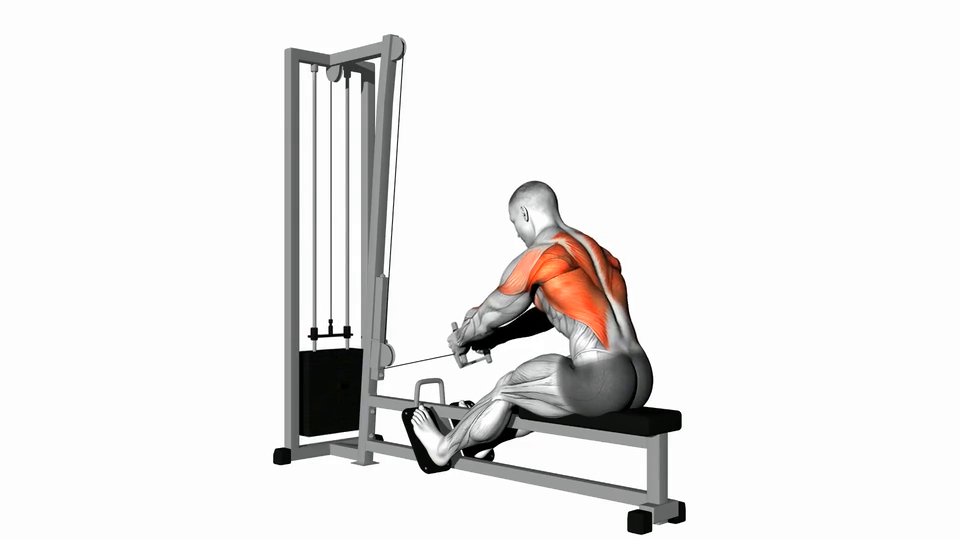 Seated Rows