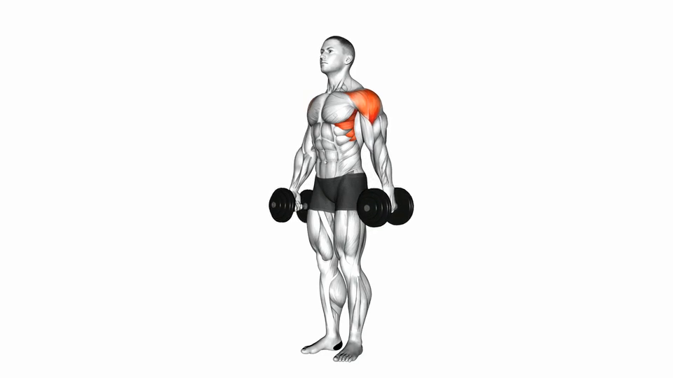 Side Lateral Raise